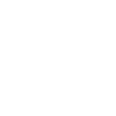 BIM icon